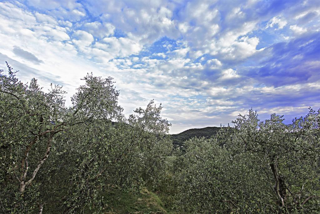 Agriturismo Terre Del Mistero Apricale Esterno foto