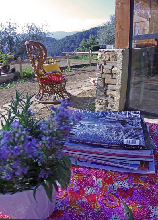Agriturismo Terre Del Mistero Apricale Esterno foto