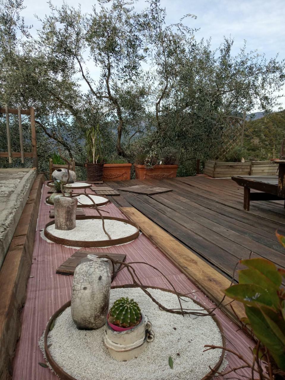 Agriturismo Terre Del Mistero Apricale Esterno foto